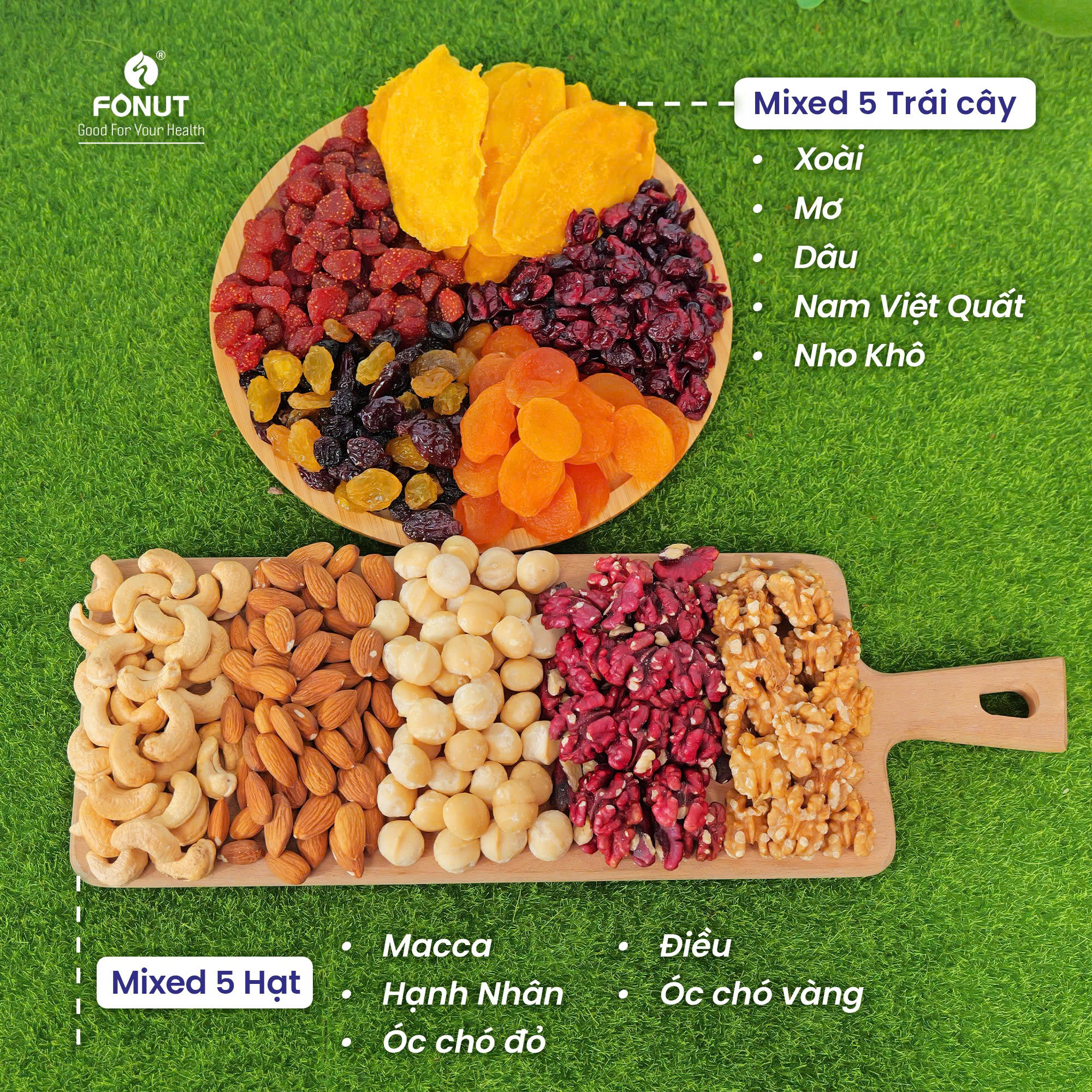 giữa 5